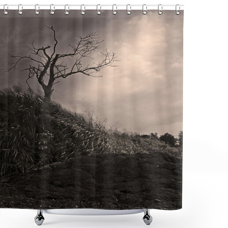 Personality  Dead Tree In Monotone Borneo, Sabah, Malaysia Shower Curtains