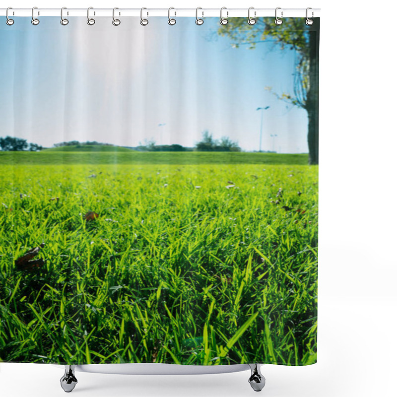 Personality  Park  Lawn View During The Sunny Day. Selective Focus On The Grass.  Shower Curtains