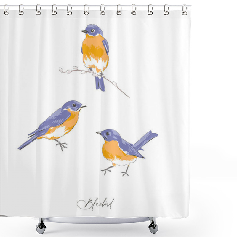 Personality  Bluebird Hand Drawn Vector Illustration Set Isolated On White.  Shower Curtains