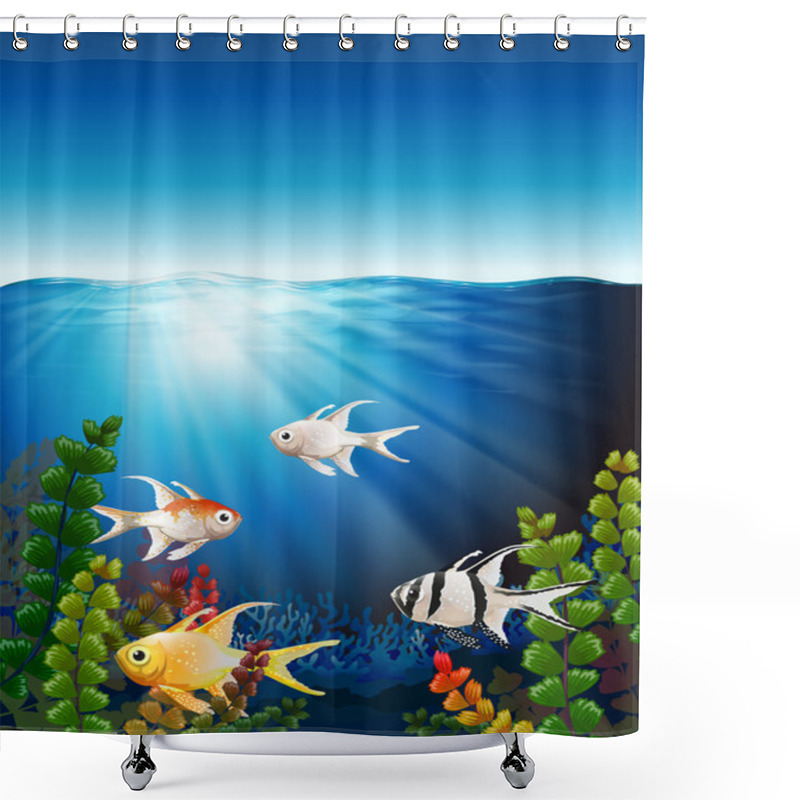 Personality  A Group Of Fishes Underwater Shower Curtains