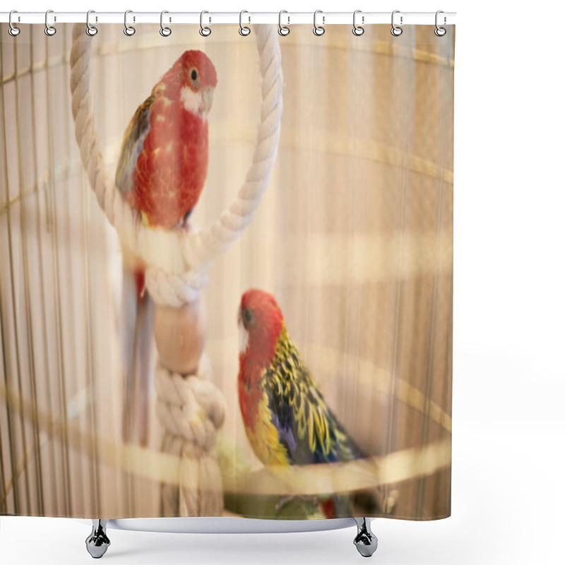 Personality  Rosy Faced Lovebird In A Cage Looking Down Shower Curtains