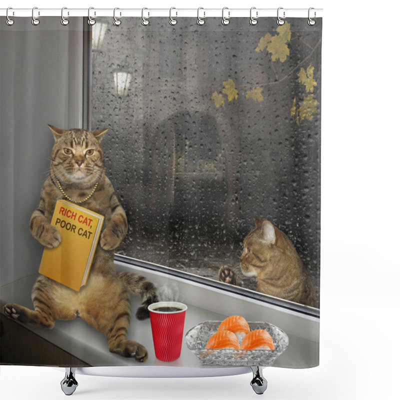 Personality  Rich Cat And Poor Cat Shower Curtains