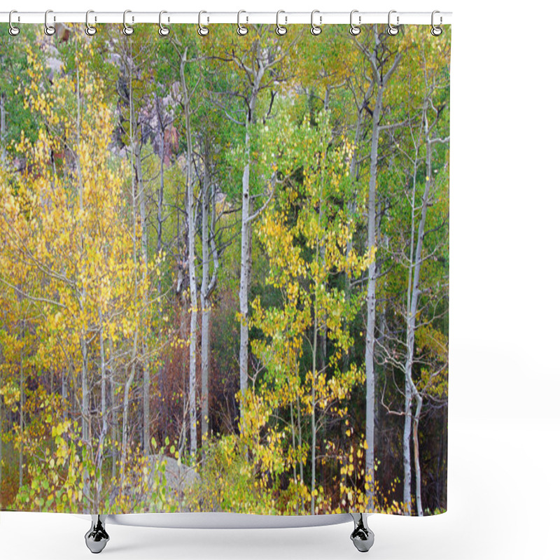 Personality  Medicine Bow National Forest Landscape Wyoming Shower Curtains