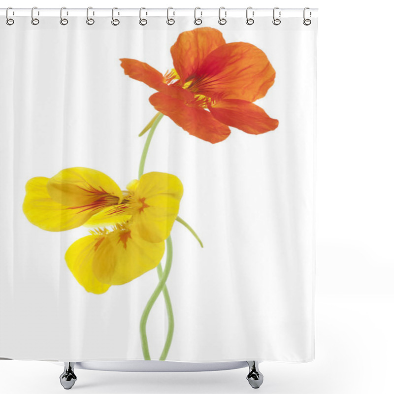 Personality  Nasturtium Shower Curtains