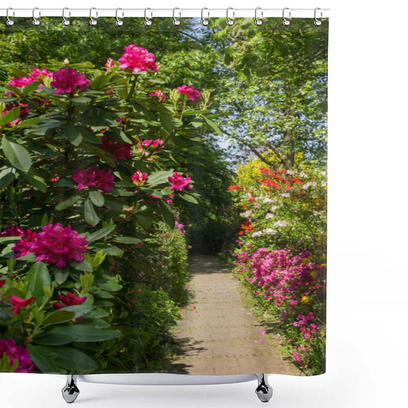 Personality  Pink Rhododendrons In The Garden Shower Curtains