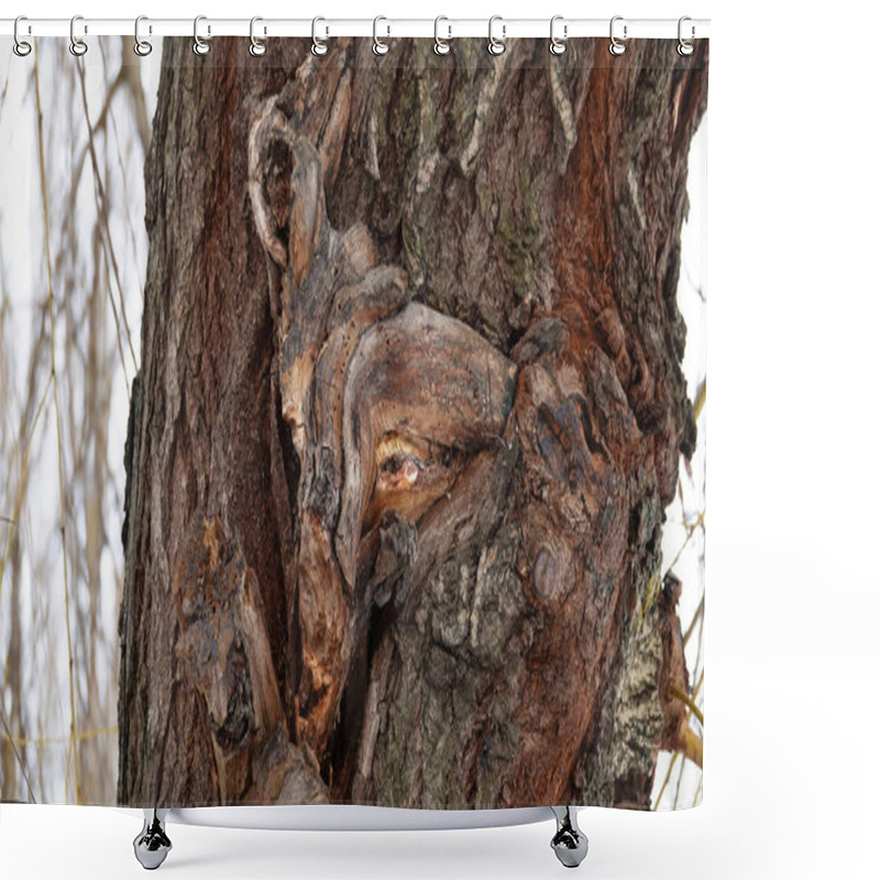 Personality  A Tree In Which, Using Fantasy, The Face Of An Animal Is Guessed Shower Curtains