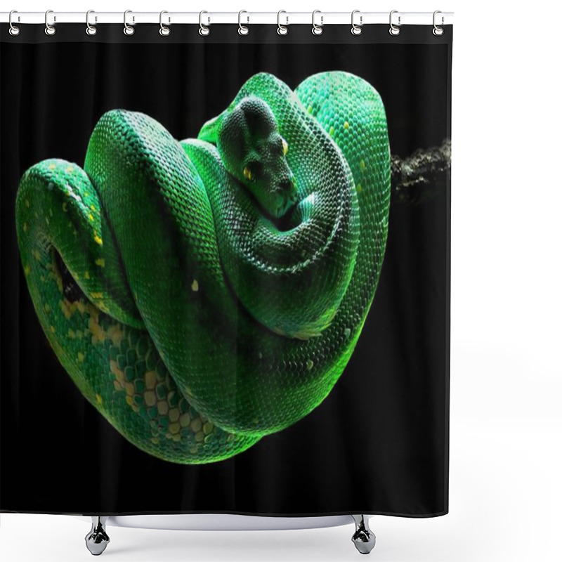 Personality  View Of Majestic Wild Python Snake Shower Curtains