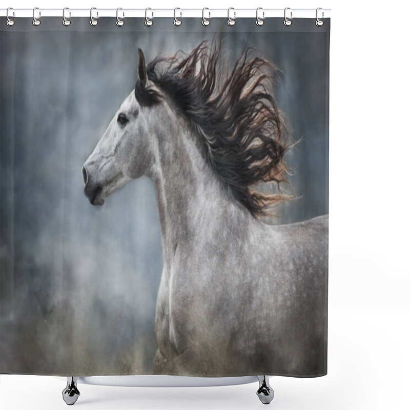 Personality  White Andalusian Horse Portrait In Motion Isolated On Dark Background Shower Curtains