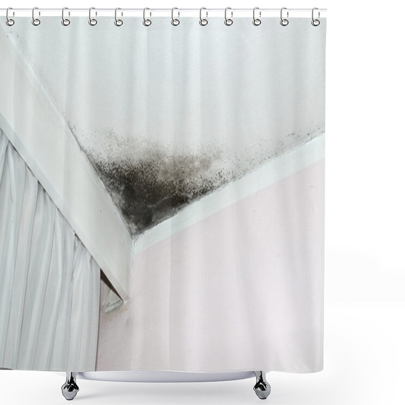 Personality  Mold On The Ceiling Shower Curtains