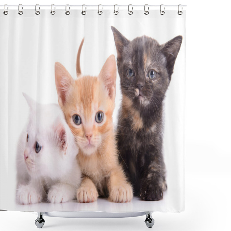 Personality  Small Scottish Kittens Shower Curtains