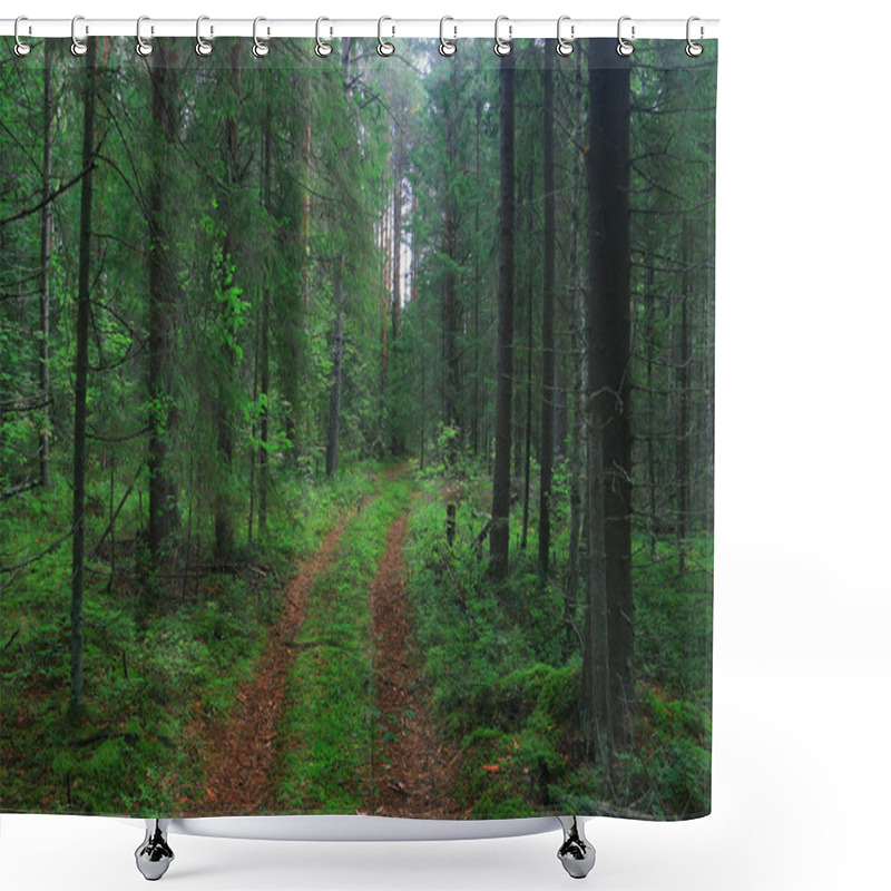 Personality  Summer Forest Landscape Shower Curtains