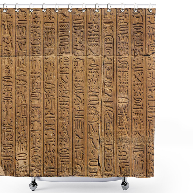 Personality  Ancient Egypt Hieroglyphics On Wall Shower Curtains