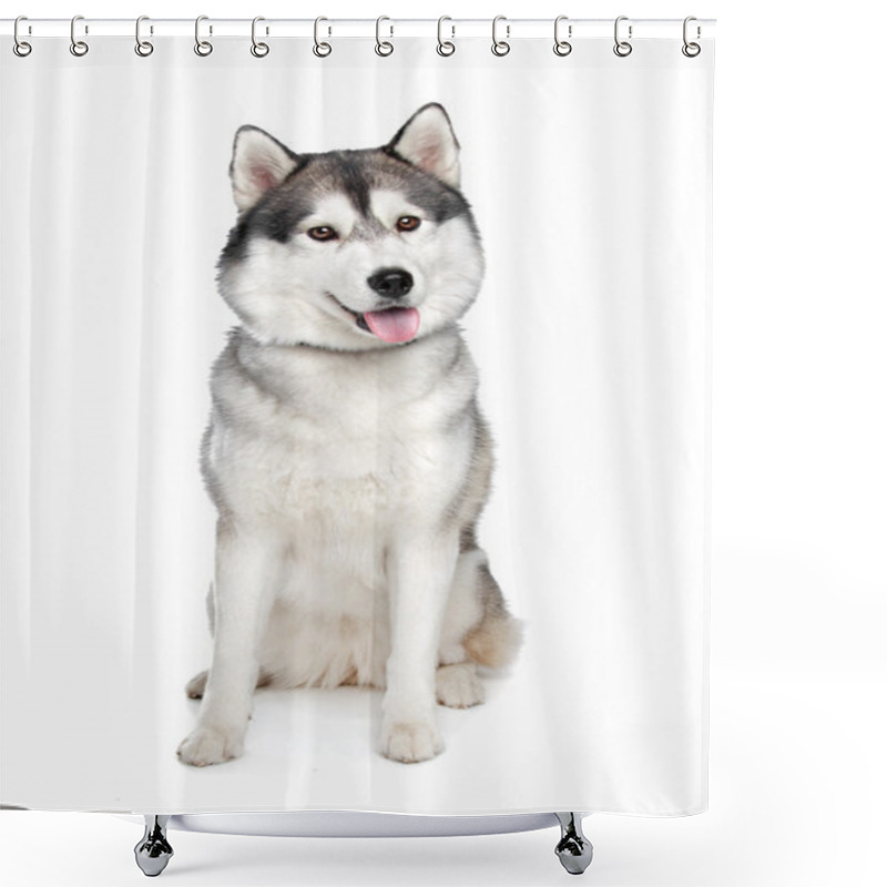 Personality  Siberian Husky Shower Curtains