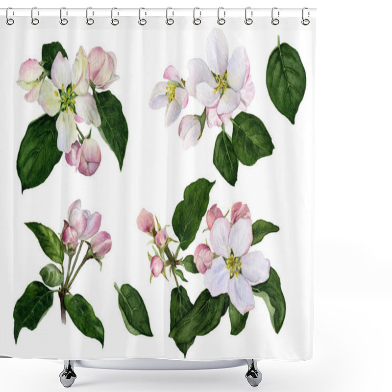 Personality  Set Of Apple Flowers And Buds With Green Leaves Hand Painted In Watercolor Isolated On The White Background Shower Curtains