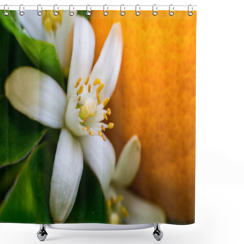 Personality  Neroli. Green Bright Orange Tree Leaves And Orange Flower Neroli With Raindrops, Dew Background Shower Curtains