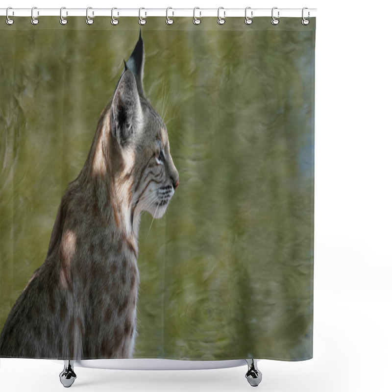 Personality  A Beautiful Young Bobcat Sits Quietly By A Small Pond. Shower Curtains