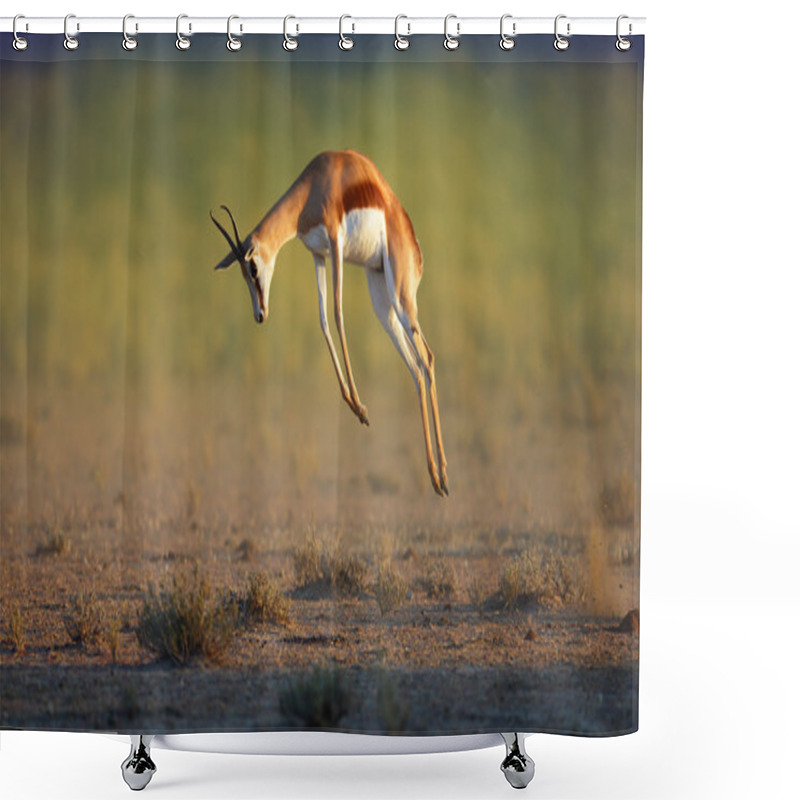 Personality  Running Springbok Jumping High Shower Curtains