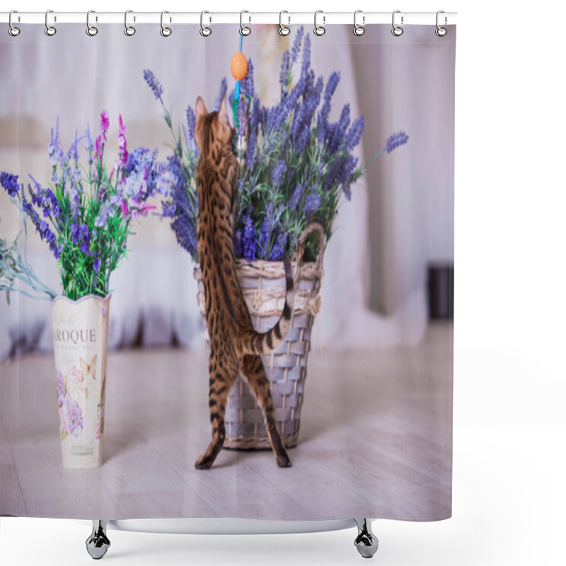 Personality  View Of Bengal Cat Playing At Home  Shower Curtains