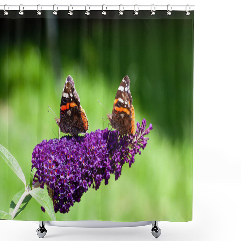 Personality  Two Red Admiral, Vanessa Atalanta, Butterflies On Buddleja Flower Or Butterfly Bush Shower Curtains