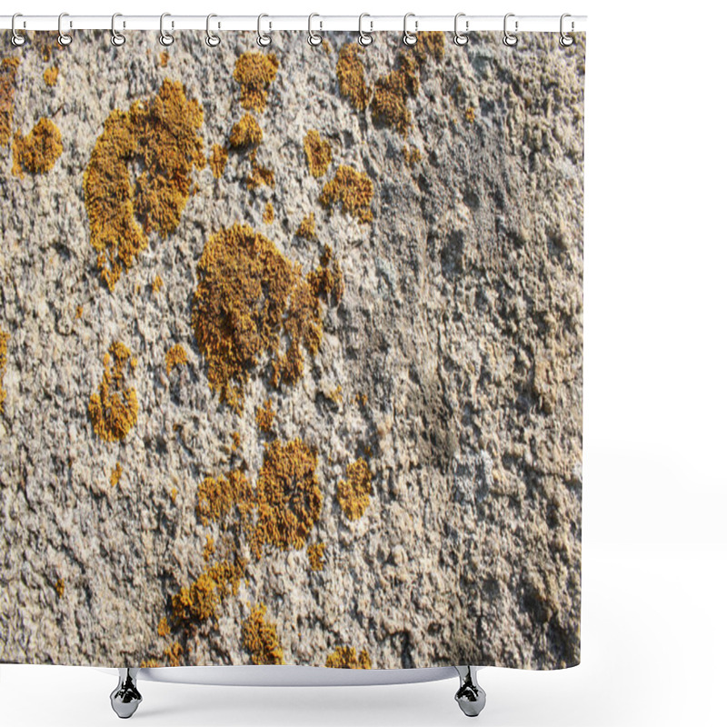 Personality  Lichen Shower Curtains