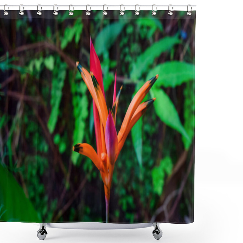 Personality  A Vibrant, Close-up View Of An Exotic Orange And Red Flower Surrounded By Lush Green Foliage, Showcasing The Beauty Of Nature In Vivid And Colorful Detail. Shower Curtains