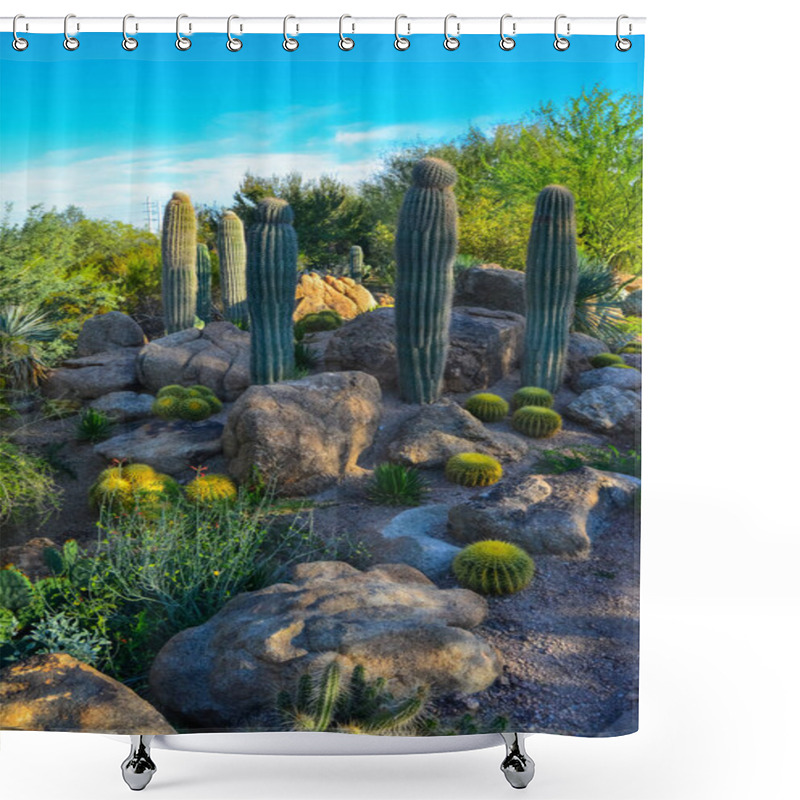 Personality  USA, PHENIX, ARIZONA- NOVEMBER 17, 2019:  A Group Of Succulent Plants Agave And Opuntia Cacti In The Botanical Garden Of Phoenix, Arizona, USA Shower Curtains