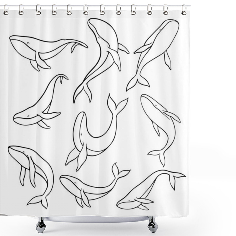 Personality  Collection Of Hand Drawn Whales In Different Poses On A White Background. Vector Illustration Shower Curtains