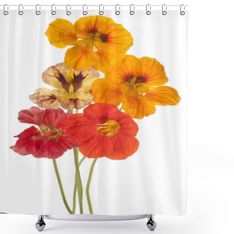 Personality  Nasturtium Flower Isolated Shower Curtains