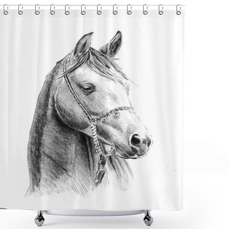 Personality  Freehand Horse Head Pencil Drawing Shower Curtains