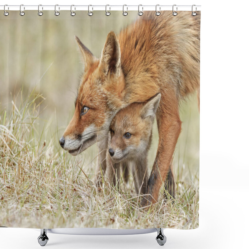 Personality  Red Fox Cubs Posing Shower Curtains