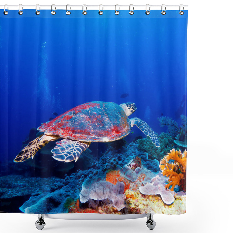 Personality  Green Sea Turtle Near Coral Reef, Bali Shower Curtains