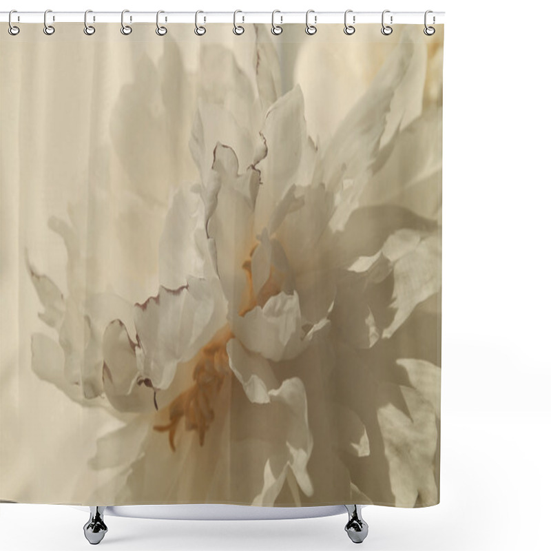 Personality  Peony Flower Background Shower Curtains