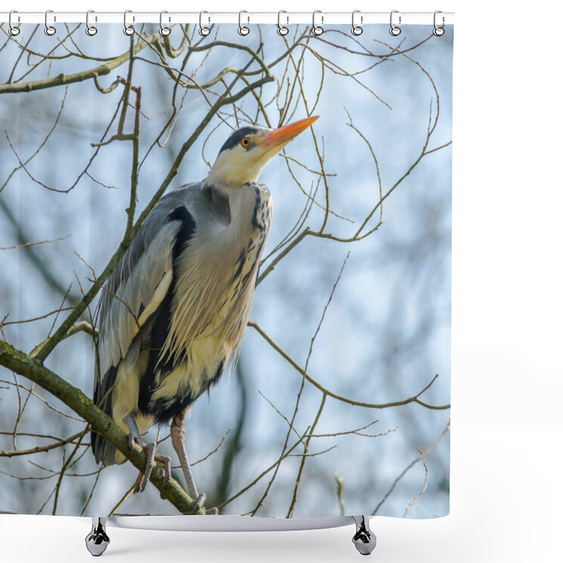 Personality  Blue Heron On The Watch  From Out A Tree Shower Curtains