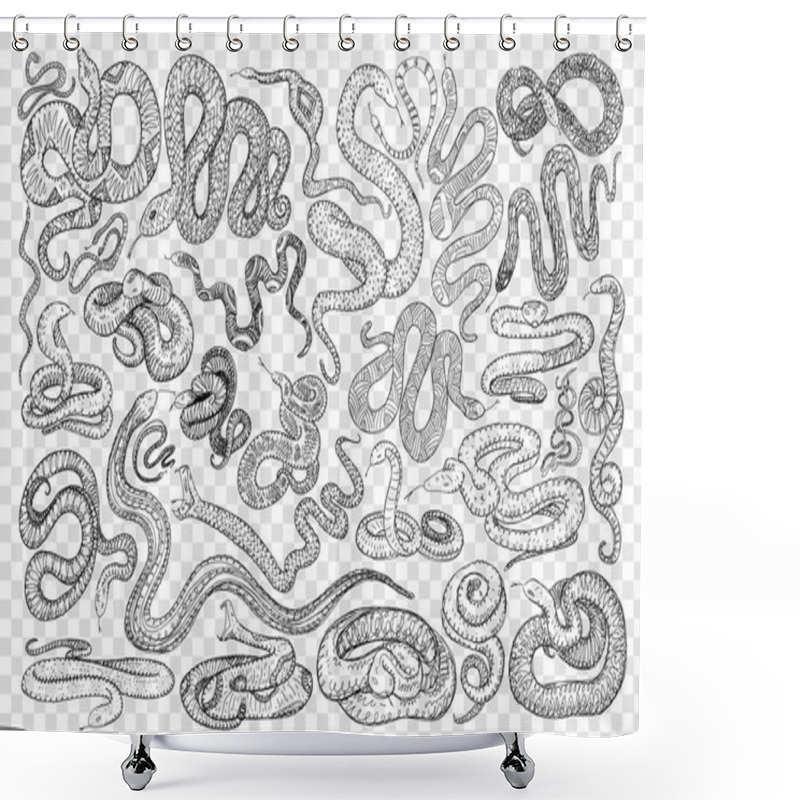 Personality  Various Dangerous Snakes Doodle Set Shower Curtains