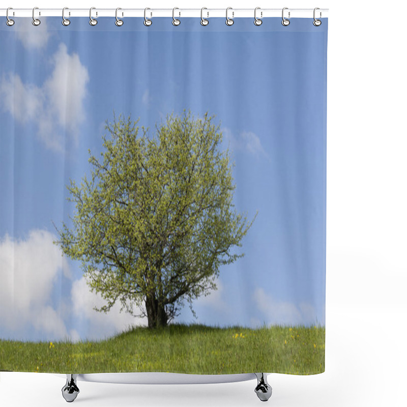 Personality  Lonely Tree, Green Field And The Blue Sky Shower Curtains