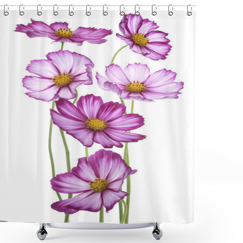 Personality  Cosmos Flowers Shower Curtains