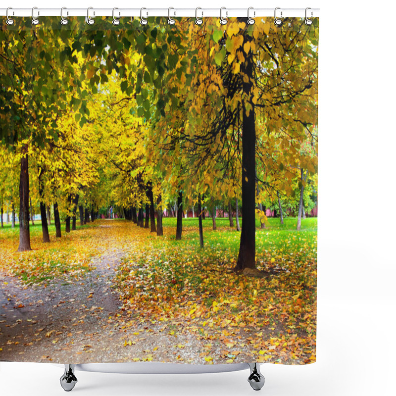 Personality  Vivid Alley In Autumn Shower Curtains