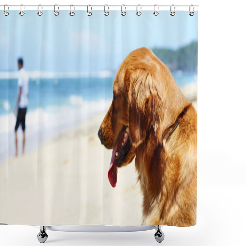 Personality  Loyal Dog Shower Curtains