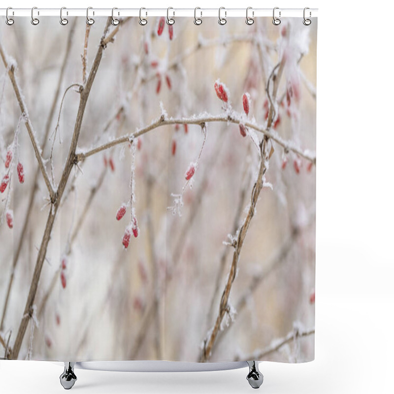 Personality  Beautiful Winter Plant, Frozen Berries In Frost Day. Natural Environment. Seasons, Ecology, Botany Natural Background. Selective Focus. Shower Curtains