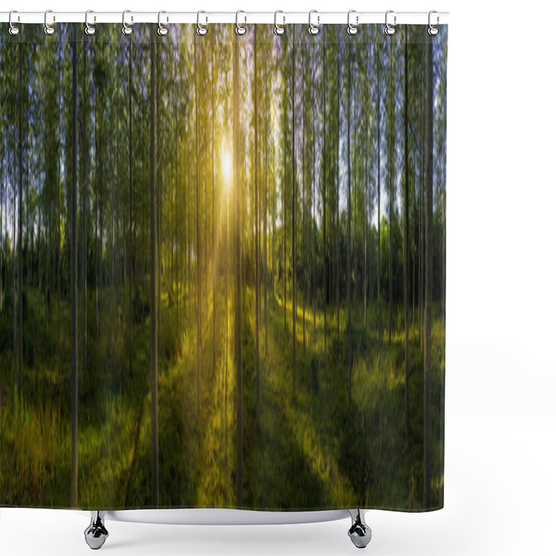 Personality  Panoramic Of A Forest At Sunrise Shower Curtains