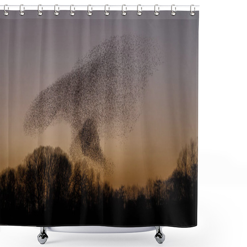 Personality  Murmurations Of Birds During Sunset, Beautiful Nature Background Shower Curtains