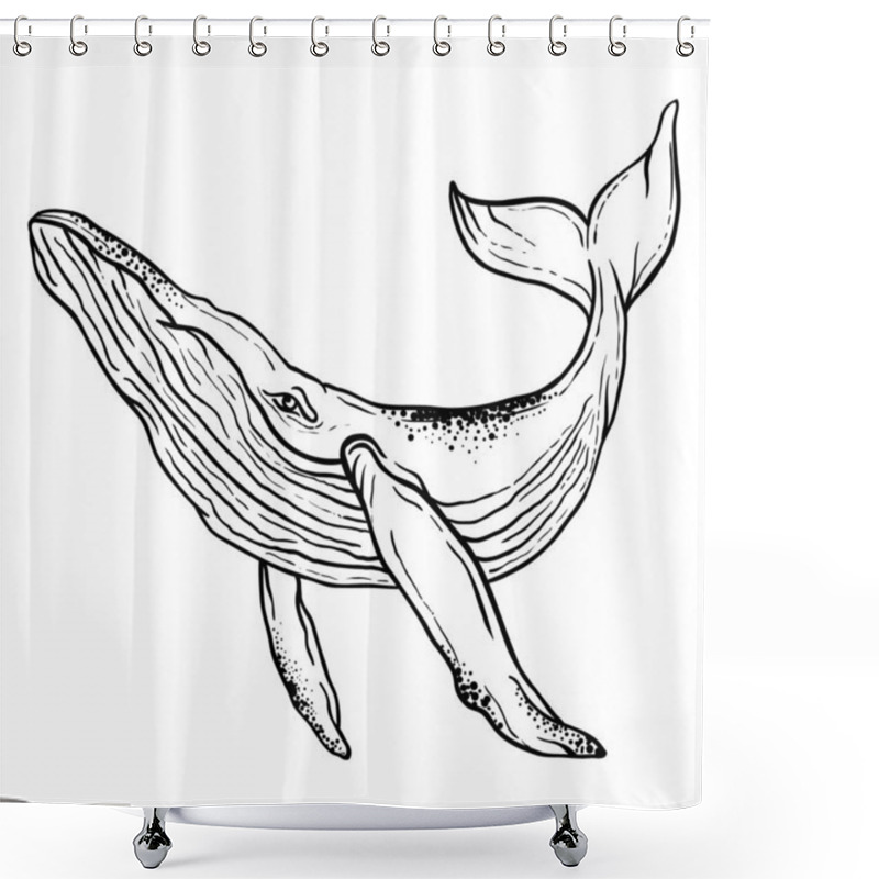 Personality  Vector Illustration Of A Whale On A White Background, Graphics, Hand Drawn Whales Shower Curtains