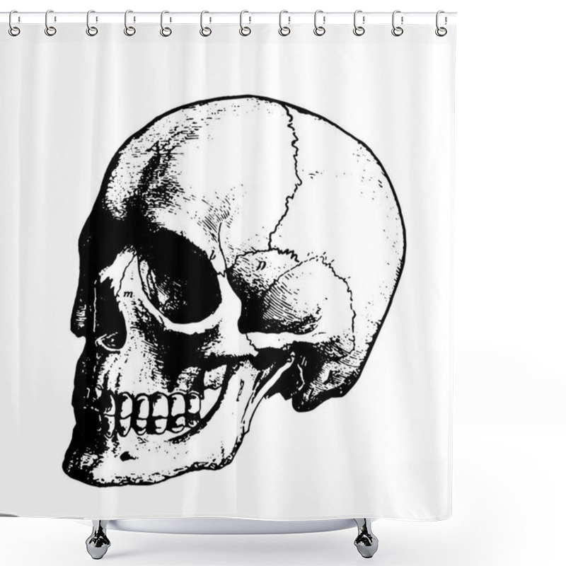 Personality  Black Scary Skull Shower Curtains