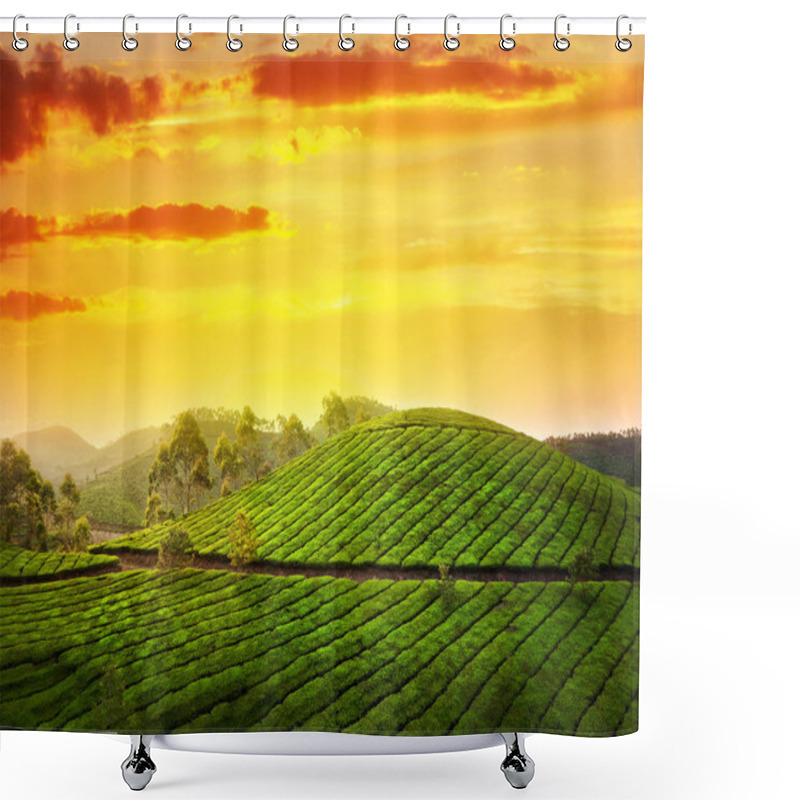 Personality  Tea Plantation In Munnar Shower Curtains