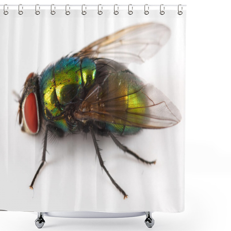 Personality  Fly Over White Shower Curtains