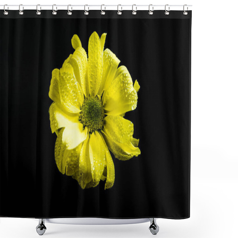 Personality  Top View Of Yellow Daisy With Drops On Petals, Isolated On Black Shower Curtains