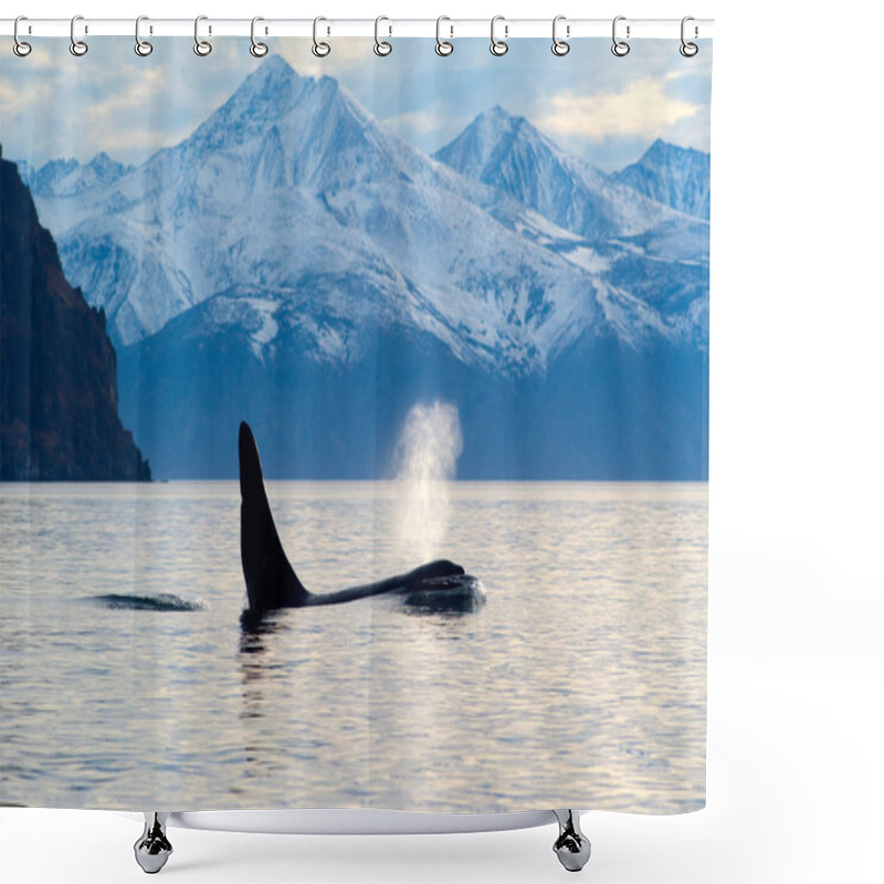 Personality  Orcinus Orca Shower Curtains