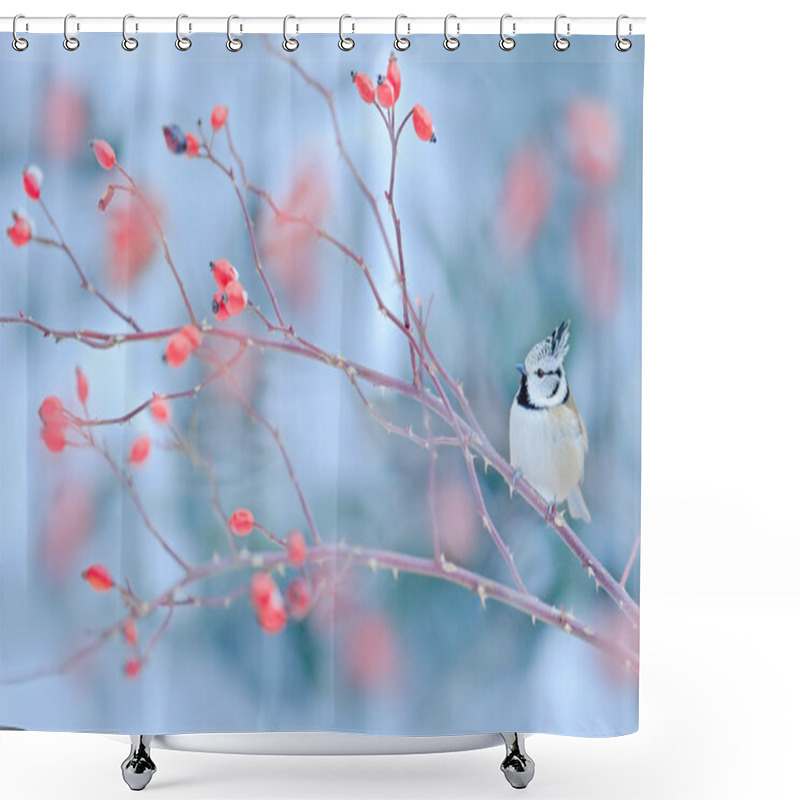 Personality  Cute Songbird Crested Tit Shower Curtains