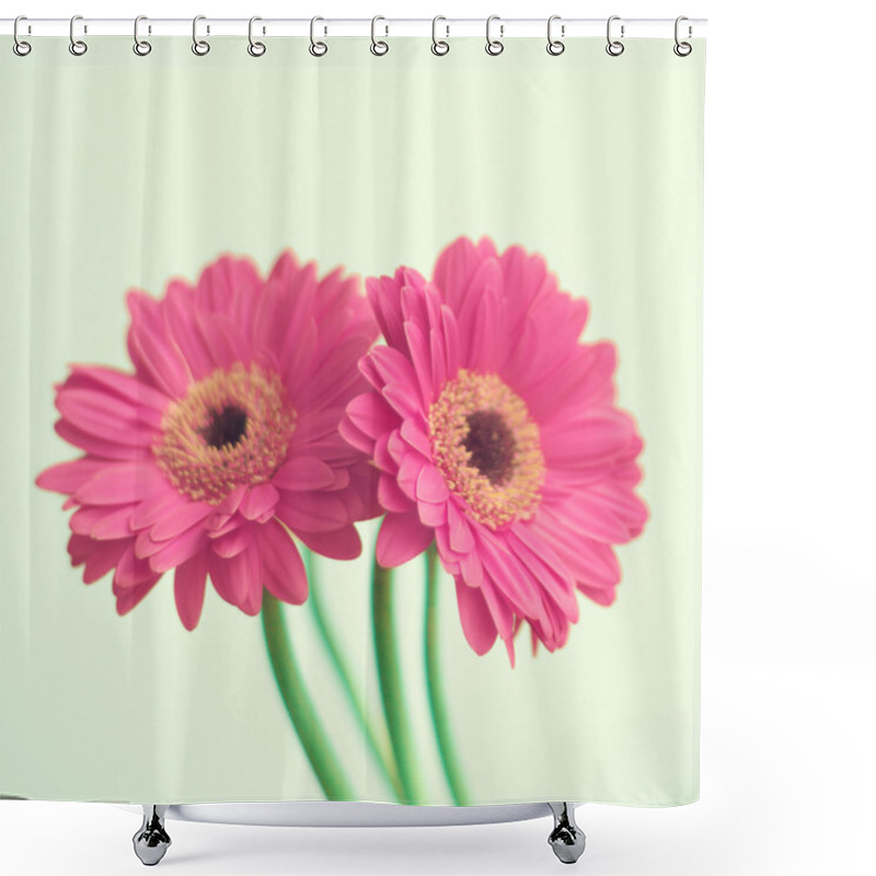 Personality  Pink Flowers On Mint Shower Curtains