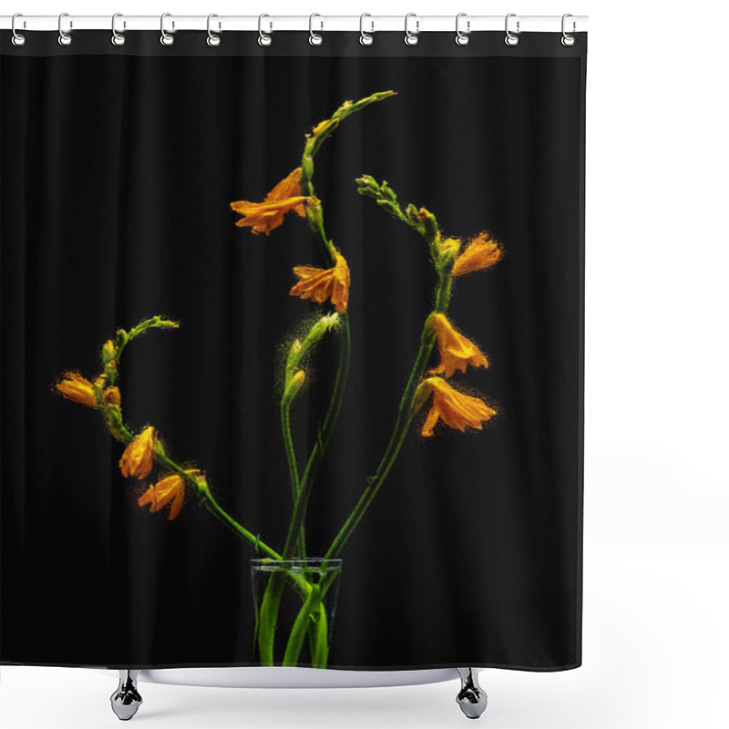 Personality  Beautiful Wet Orange Lily Flowers In Transparent Vase Isolated On Black  Shower Curtains